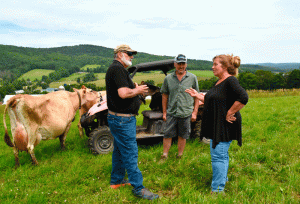 Cabot farm named Dairy Farm of the Year