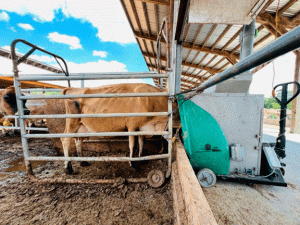 Looking to the seas for feed