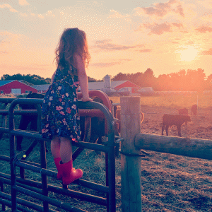 Delaware Farm Bureau Photo Contest winners announced