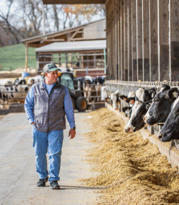 Two MD farms nominated for conservation award
