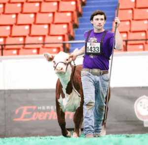 Bofat Hill Farm: Winners all