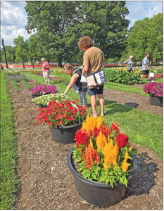 Preventing agritourism conflicts in NYS