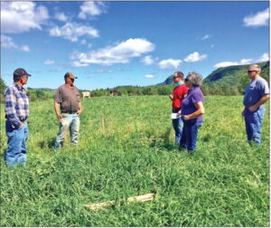 Five years, one farmer-led cohort: What VT dairy farmers learned by working together