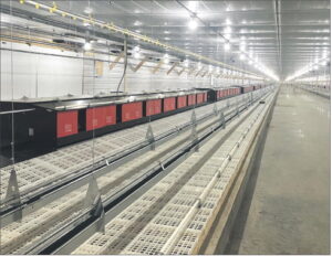 Upstate farmer jumps into pasture-raised eggs with new facility