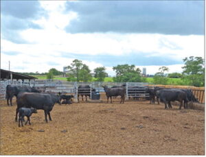 Fooling Mother Nature