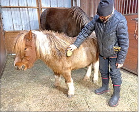 Horse Tales: How does your horse keep warm?