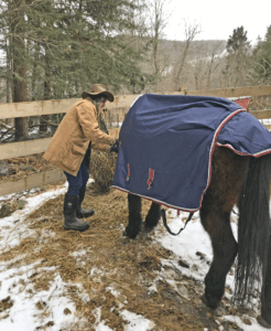 Horse Tales: Keeping up with winter care