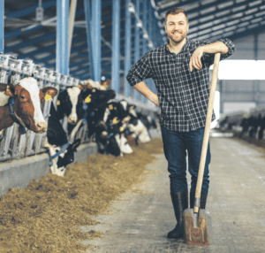 Finding success in diversification