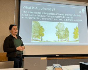 Maine is promoting agroforestry
