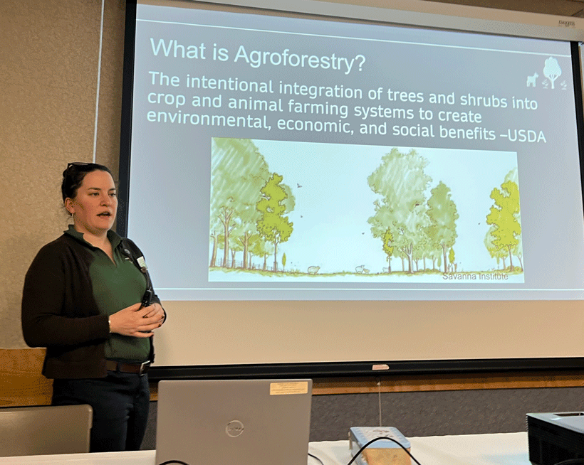 Maine is promoting agroforestry