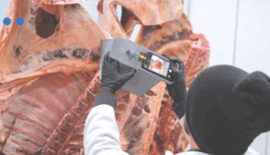 Not your average beef: Innovations in USDA remote beef grading