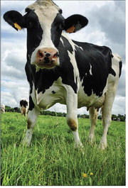 Treasure maps & trusty tools