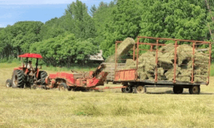 As good as the paper it’s written on