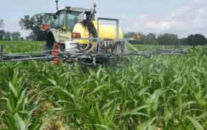 Nitrogen fixing may not dramatically affect yield