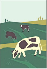 Ag apprenticeships & Spanish safety charts: Cultivating diversity in employees