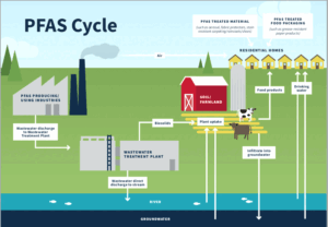 PFAS in pesticides: What farmers should know