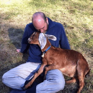 Sage Meadow Farm supports community through goat yoga
