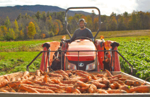 The middle of the supply chain: How food hubs are strengthening New England’s local food system