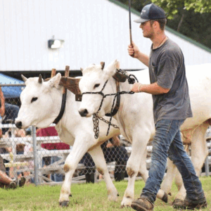 New building ready for North Stonington Fair