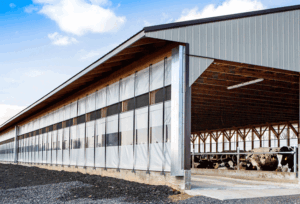 Protection backed by a guarantee: Shady Lane Curtains