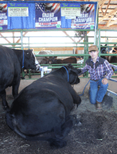 Teen cattleman cleans up at Ontario Co. Fair