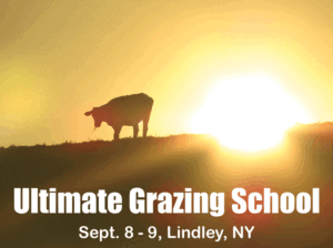 Inaugural ‘Ultimate’ Northeast Grazing School coming soon