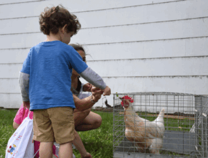 Five steps to crisis-proof your agritourism operation