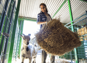 A guide to FLSA’s agricultural child labor rules