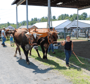 The 158th Cummington Fair
