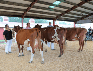 Attendance smashes previous records at 177th Franklin County Fair