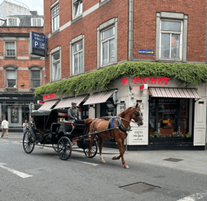 Horse Tales: Ancestral journey to Ireland continues & the Muff Horse Fair
