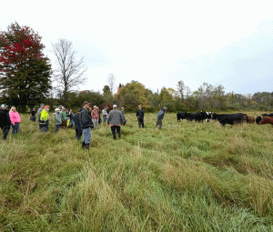Grassy Cow Dairy takes a disruptive approach