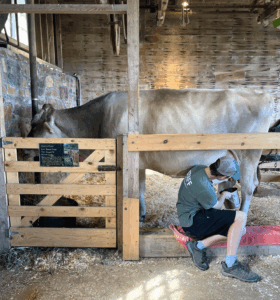 Nonprofit Shelburne Farms is VT’s top free attraction
