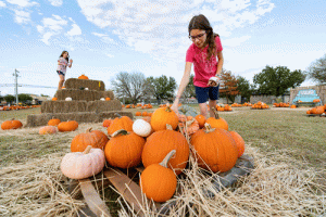 Creative ways to use pumpkins - Country Folks